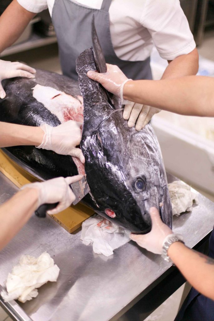 Personas despiezando pescado